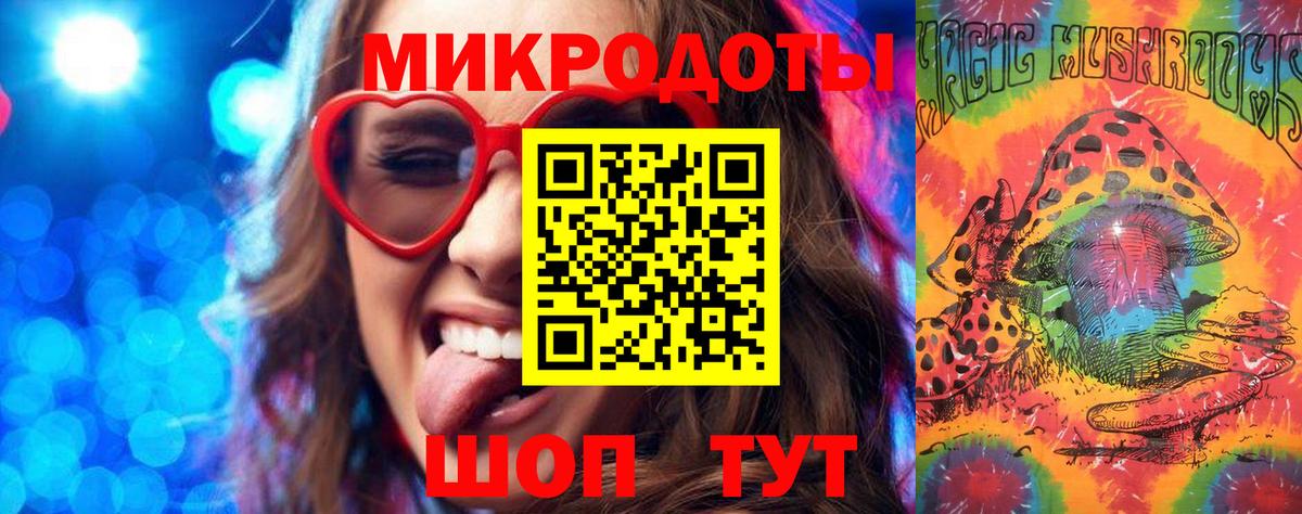 Псилоцибиновые грибы Psilocybine cubensis Красноуфимск